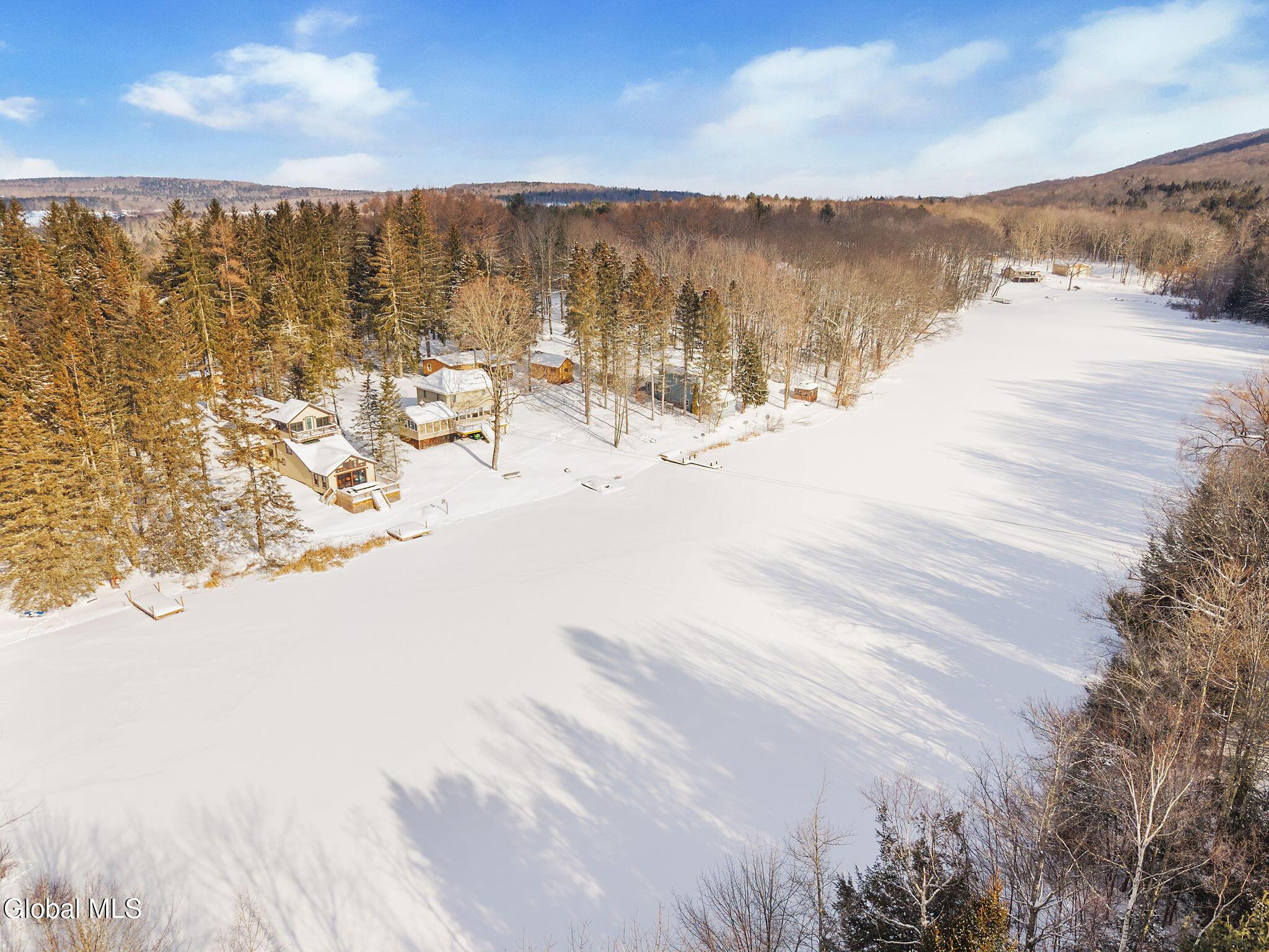 Image 3: Half hour to skiing Windham NY