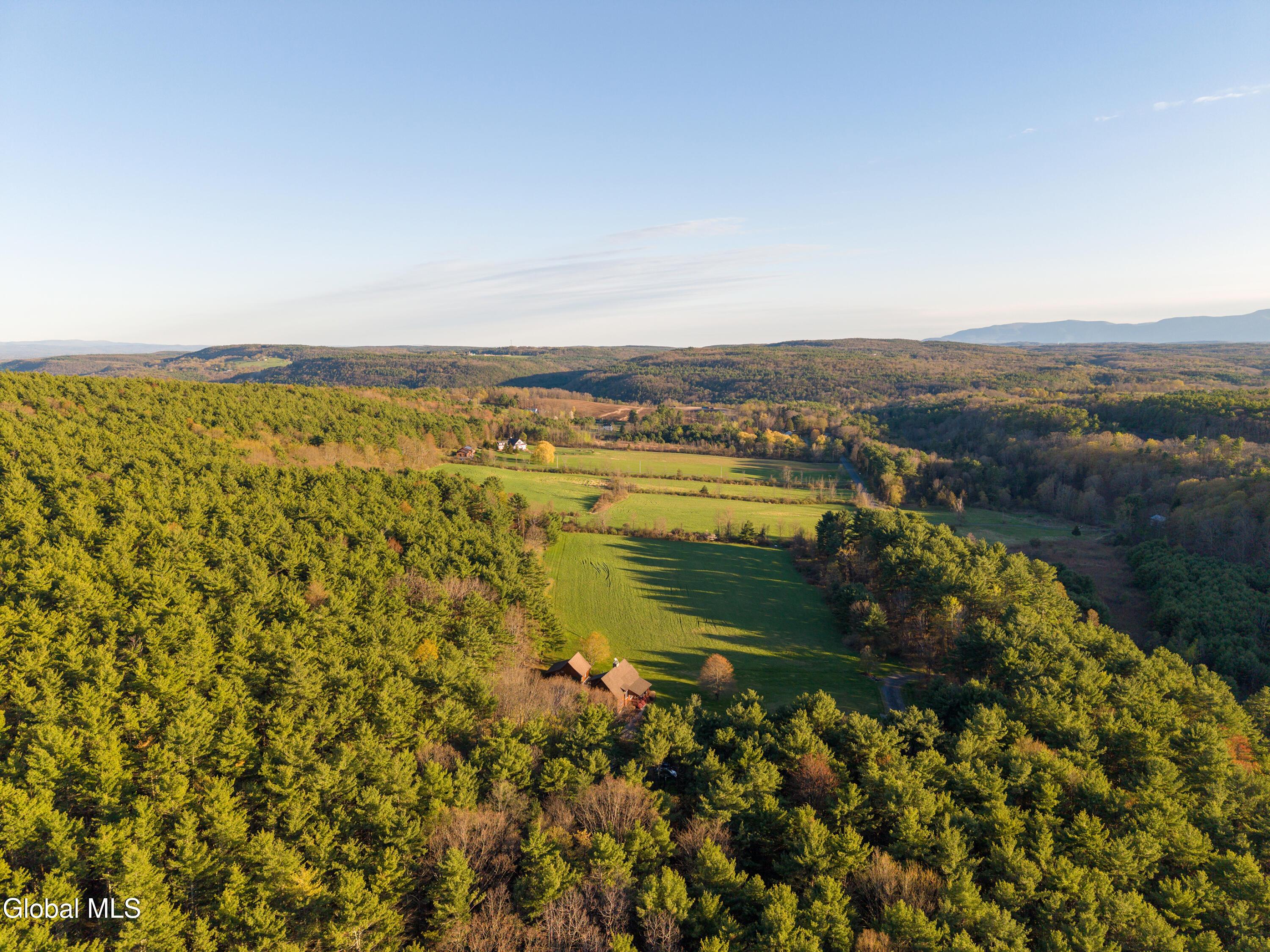 Image 4: 056-220-Stanton-Road-Coeymans-Hollow-NY-