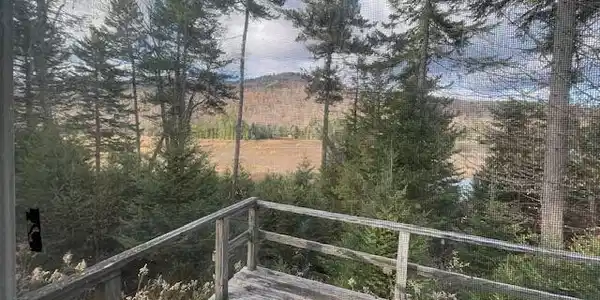 Image 2: deck