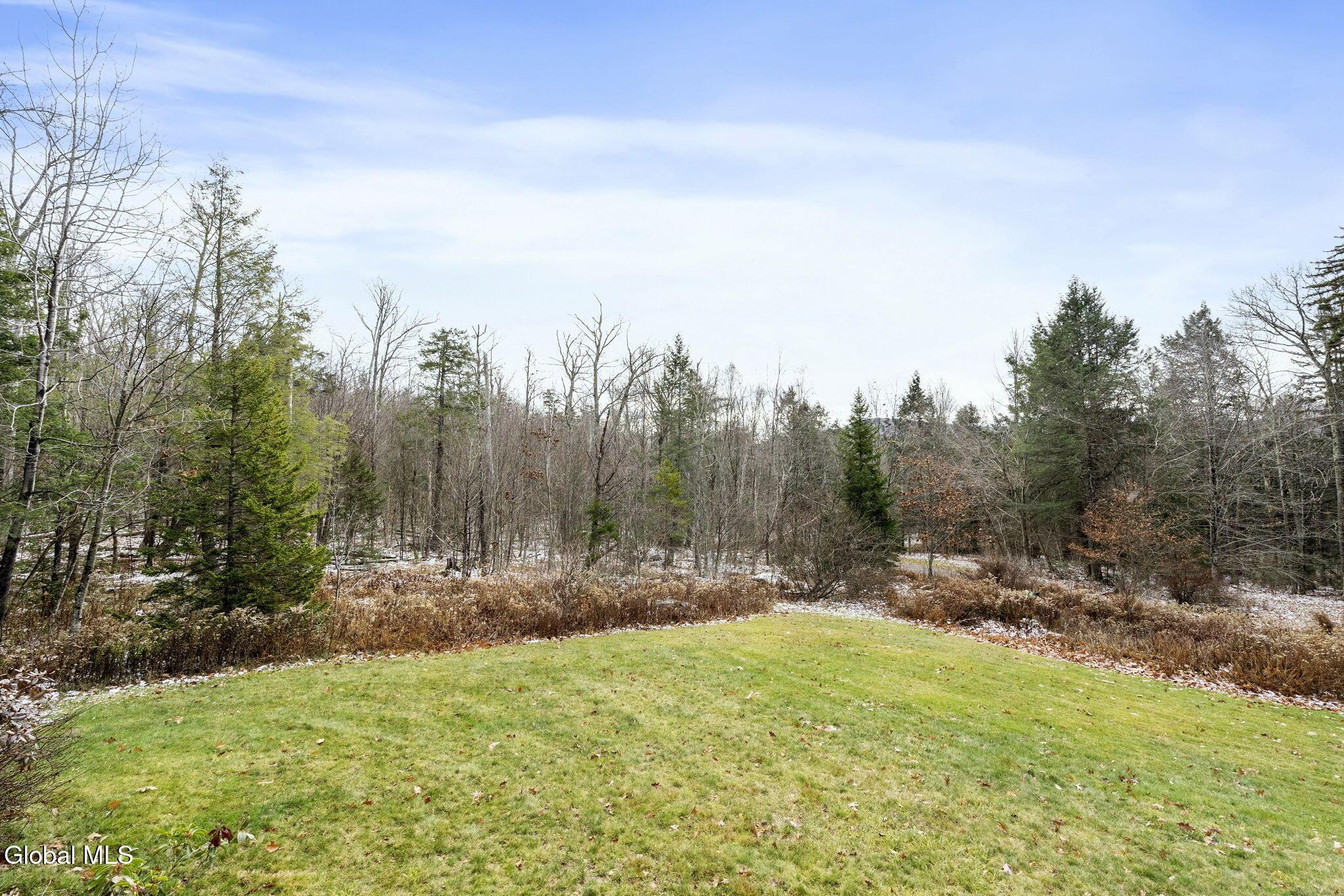 Image 4: 81-web-or-mls-345-wesley-acres-rd