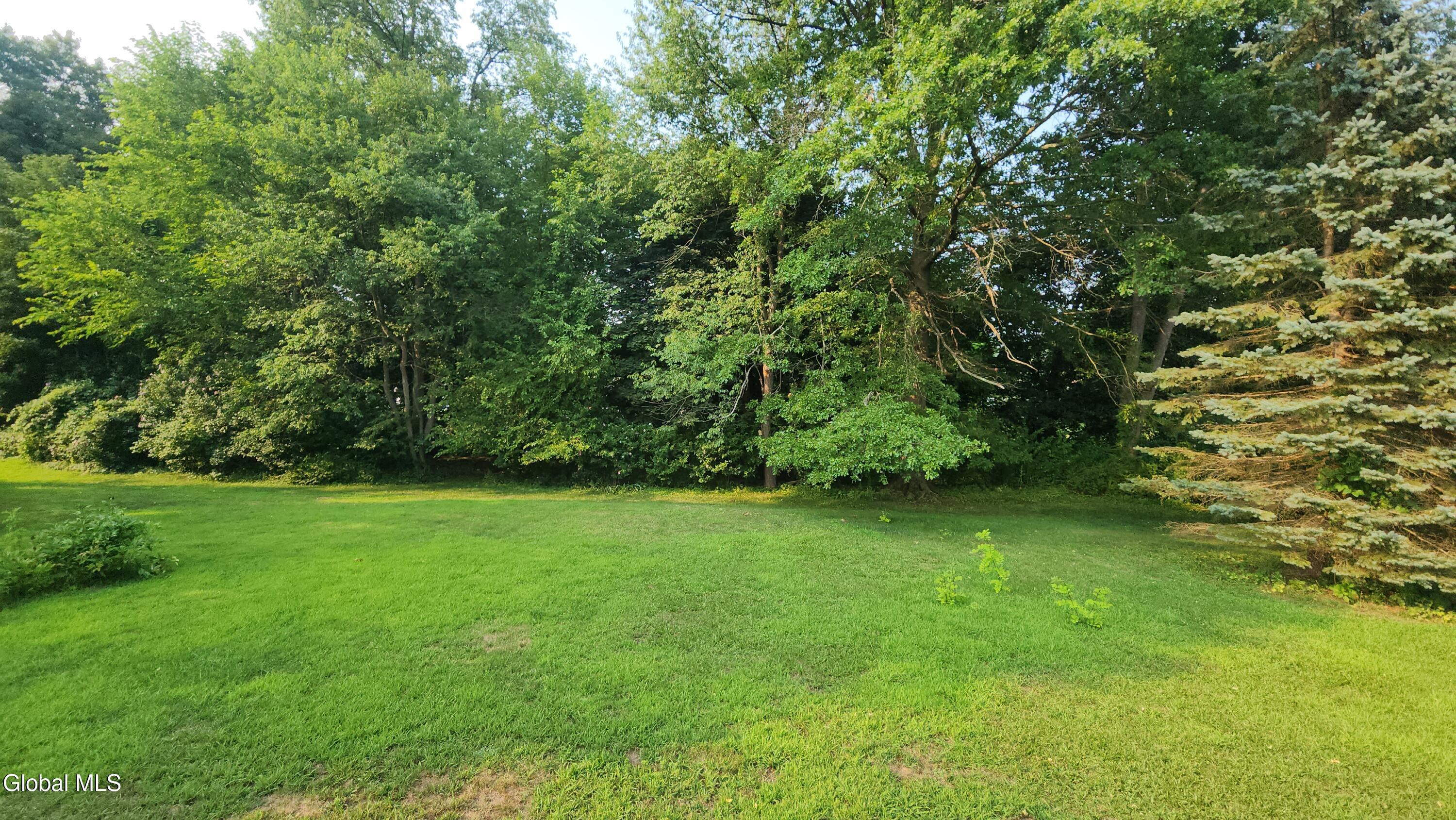 Image 4: Back Yard