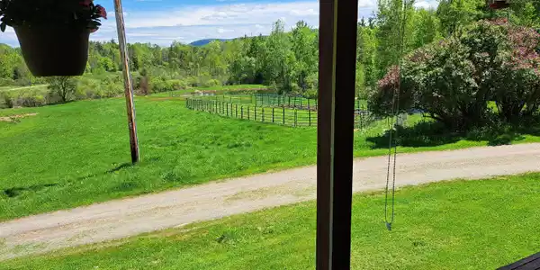 Image 4: 04 Horse Pasture from Front Porch