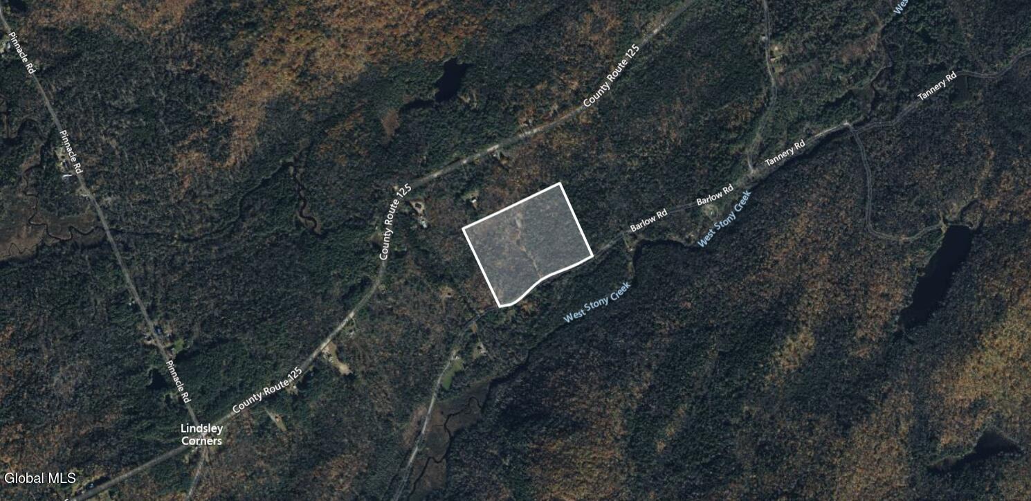 Image 4: image (10)