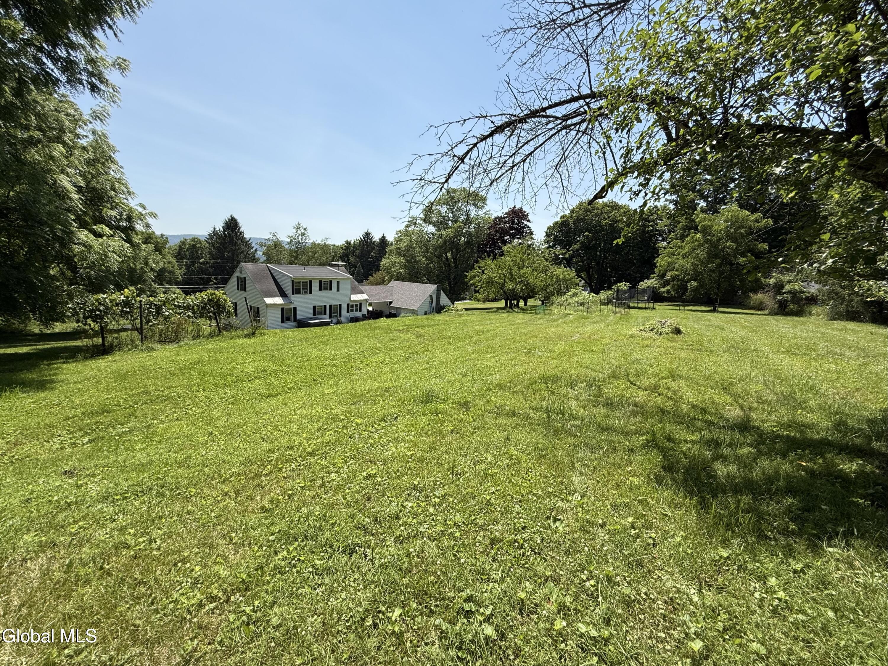 Image 3: Large Backyard
