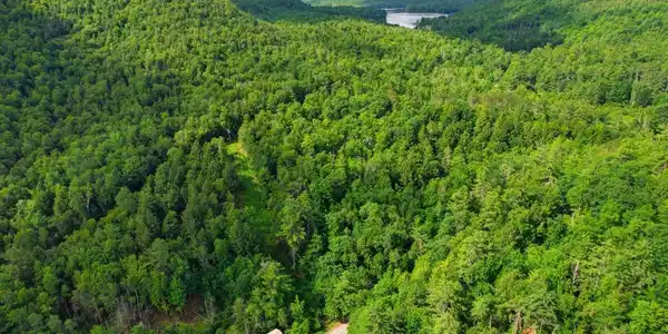 Image 3: 02-002_dji_fly_20260710_095844_114_17837