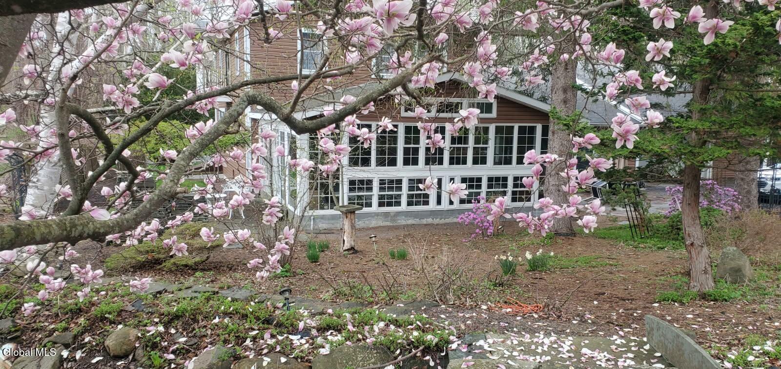 Image 1: image000000