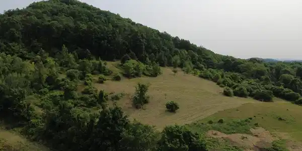 Image 2: DJI_0003 - Copy