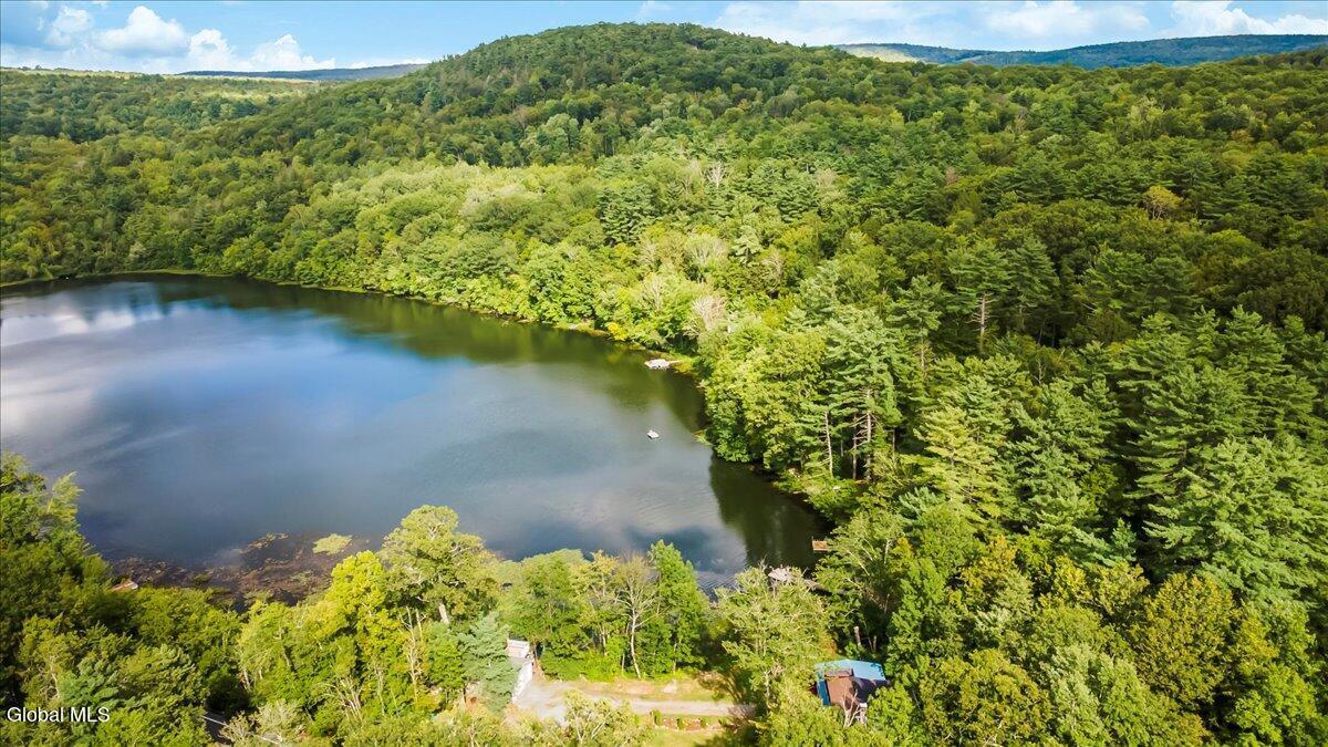 Image 3: 55-DJI_0259