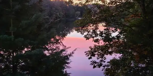 Image 4: Sunset