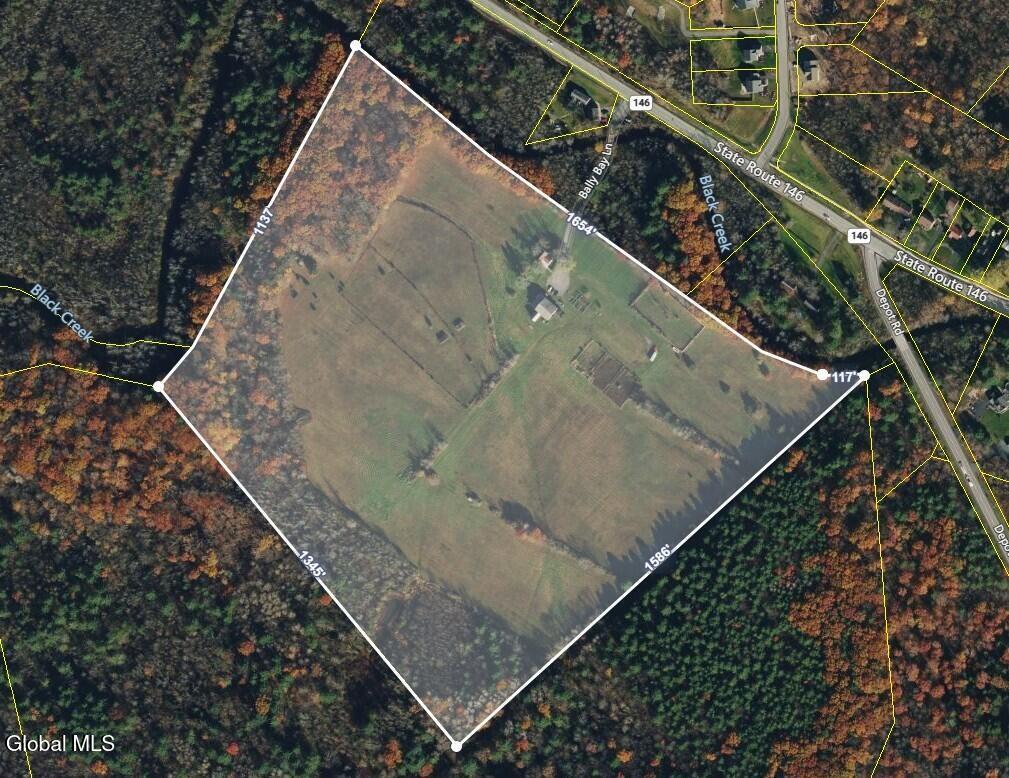 Image 4: Ariel Photo of 100 Bally Bay Farm