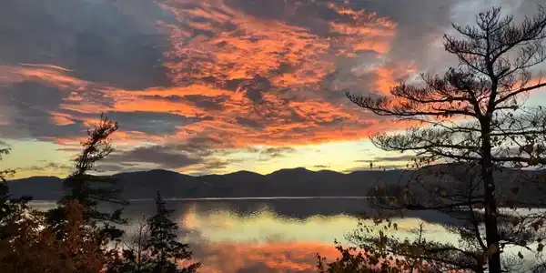 Image 4: Screenshot_20260724-081005