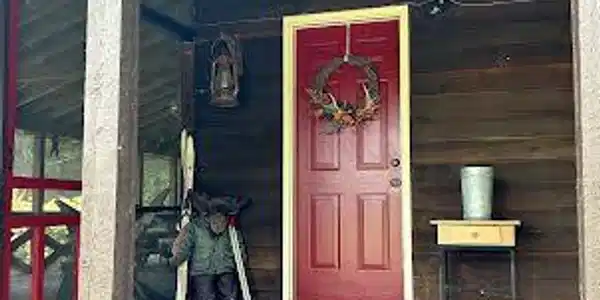 Image 4: House