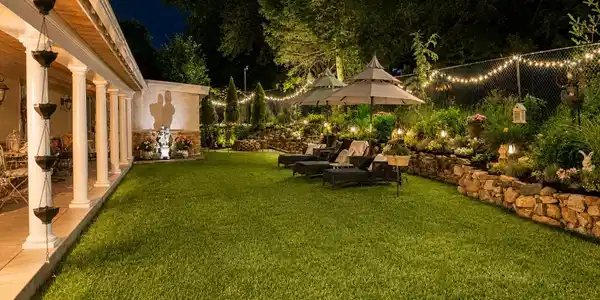 Image 4: backyard.1