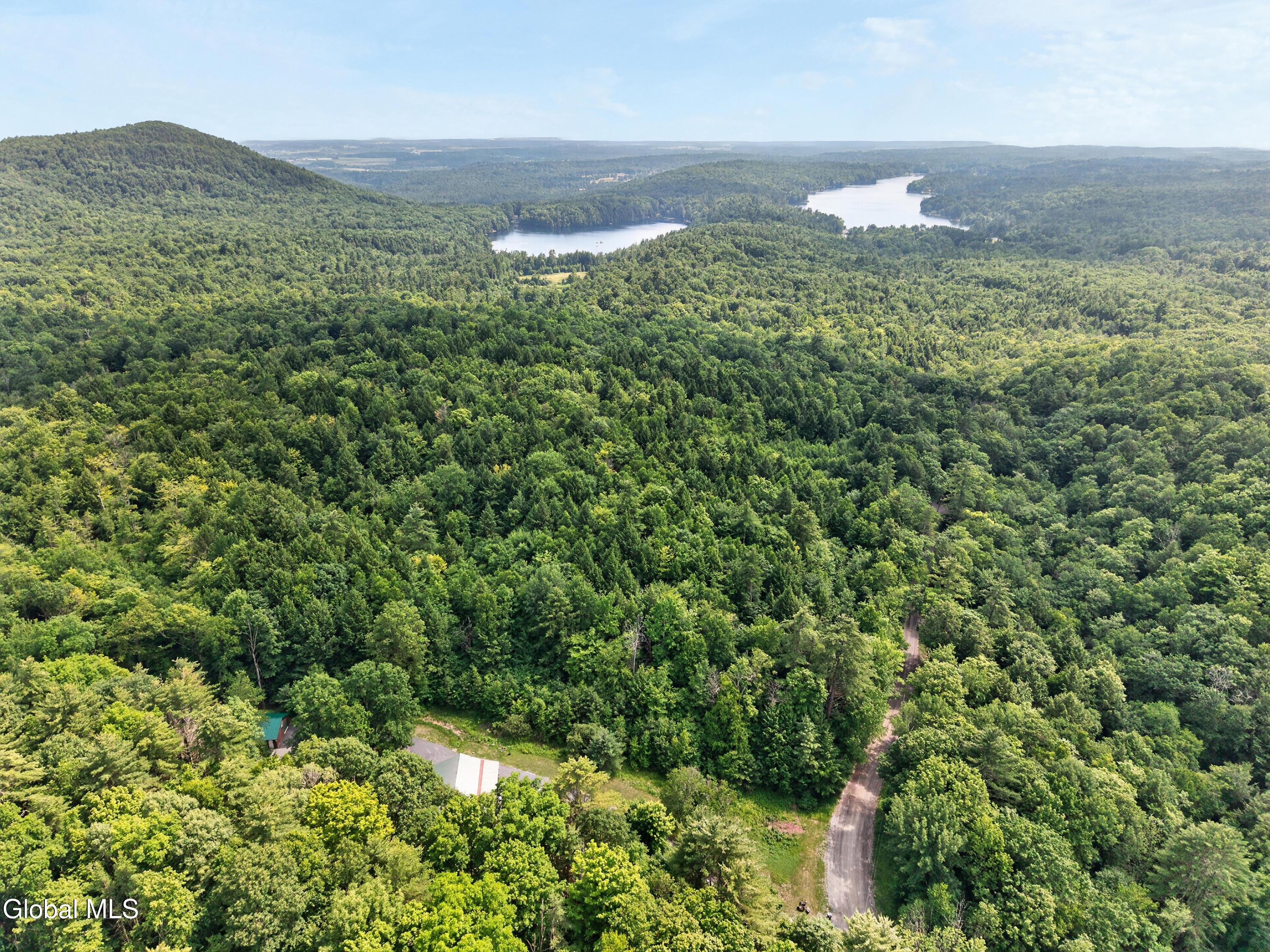 Image 3: 005-296-Lake-Nebo-Road-Fort-Ann-NY-12827