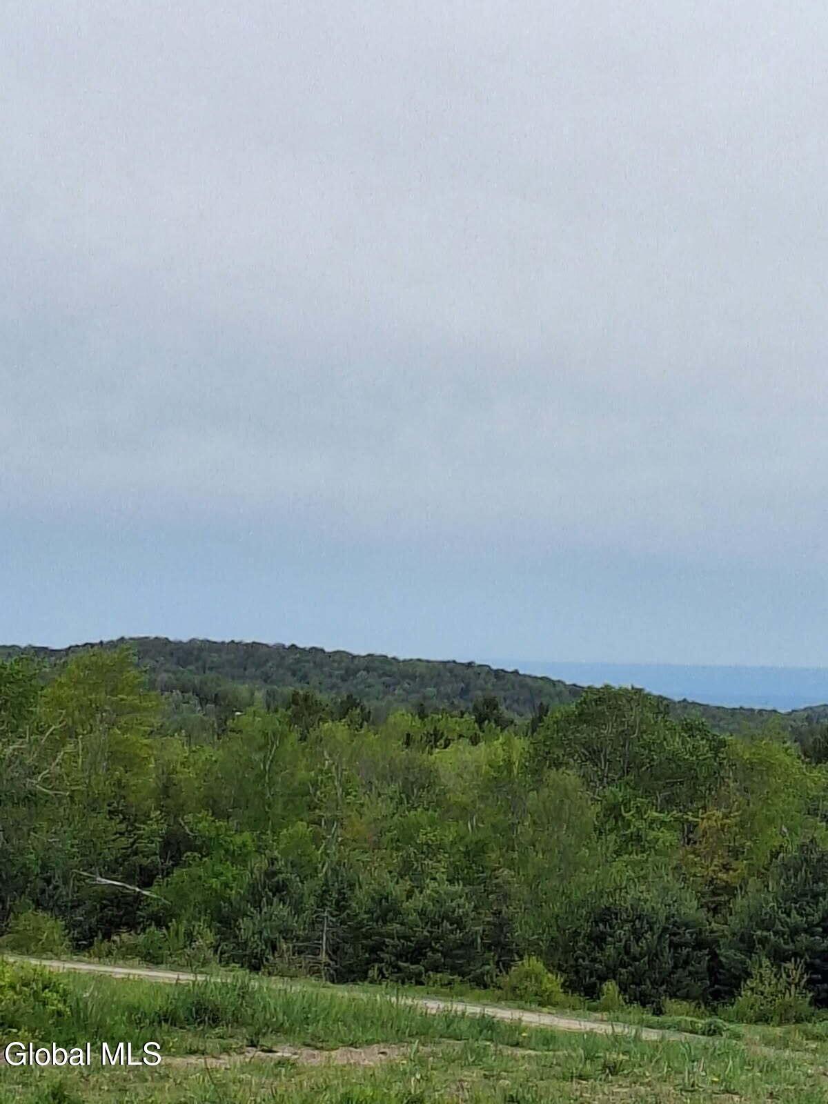 Image 4: 53 snyder rd views