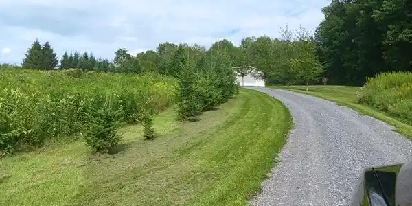 498 Hill Road