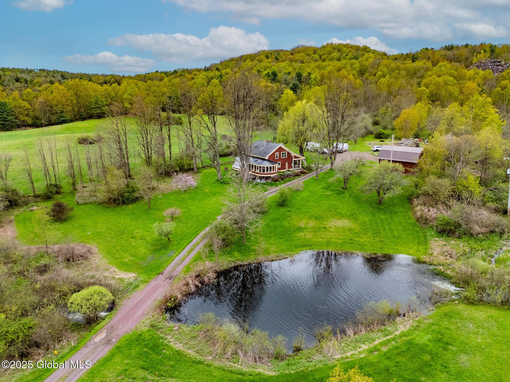 Image 3: House pond drone