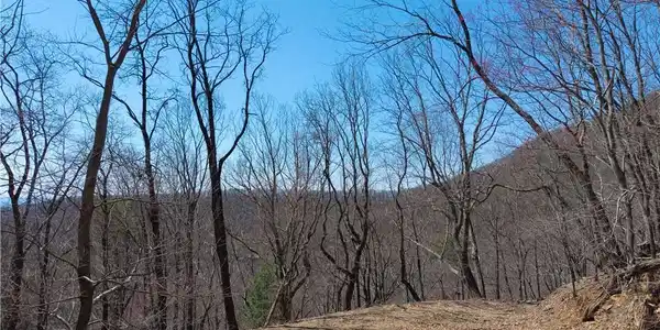 376 Deer Run Ridge
