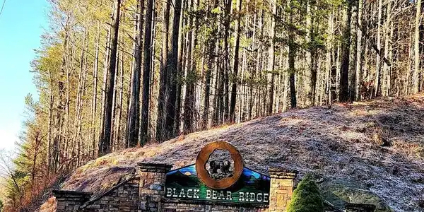 Lot 2.17 Black Bear Ridge