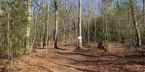 Tract2 East New Hope Road