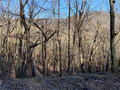 2937 Locust Trail