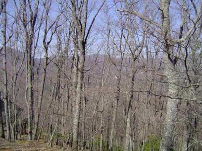 6A Buckeye Trail