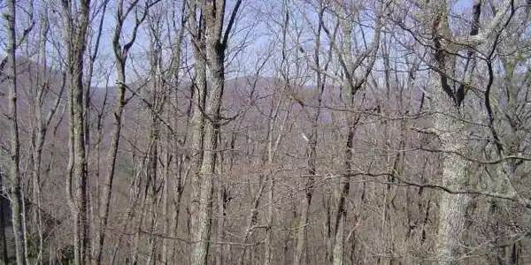 6A Buckeye Trail