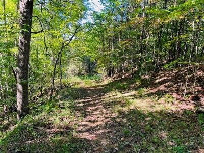 220 Maxwell Mountain Road