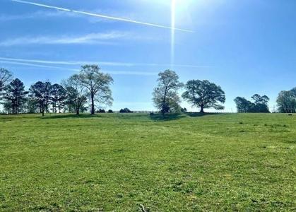 Lot 4 Hunts Gin Road