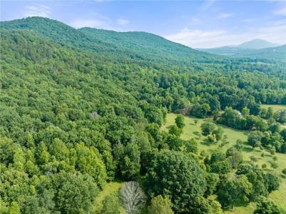 Lot 04 Freeman View Trail