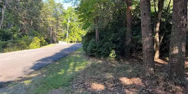 152 Silver Fox Loop