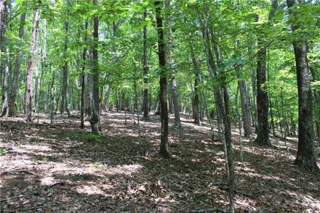 Lot 4568 Denny Ridge Road