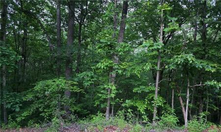 Old Mckaskey Creek Road SE