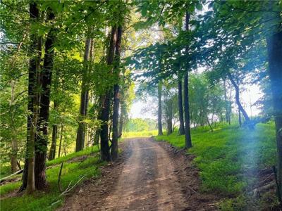 47 ac Jesse Martin Trail