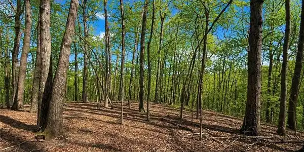 Lot 117 Burnt Mtn Cove Road