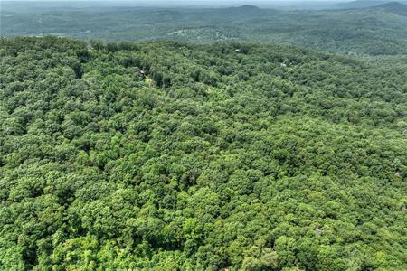 7.89 AC Laurel Springs Road