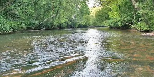 191+/- Acres off Hwy. 136