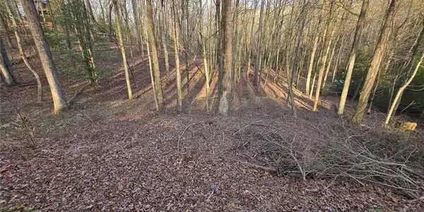 Lot 201 Chatawa Court