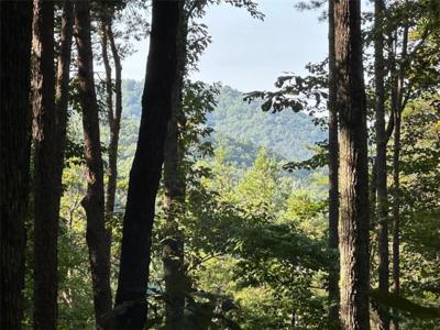 LT. 27 Tanager Trail