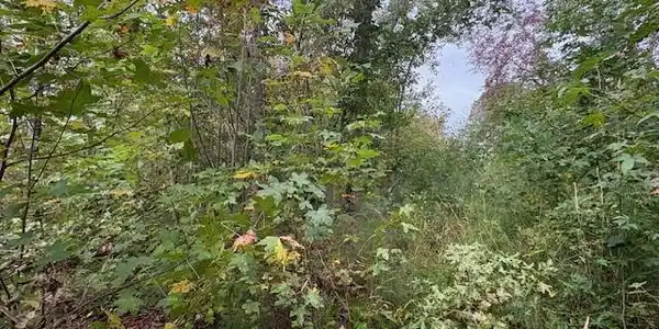 Lot 1 Thompson Lane