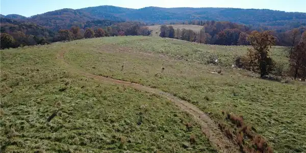 1350 Stivers Road