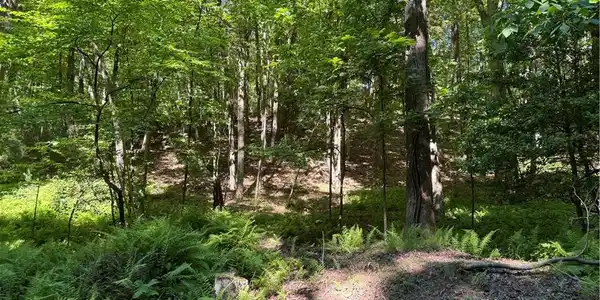 Lot 387 Walhalla Court