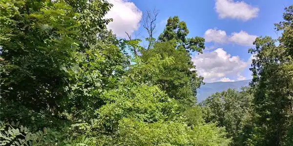 Lot P2 Goldmine Drive