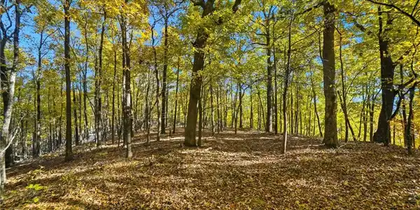 1420 Sunset Trail