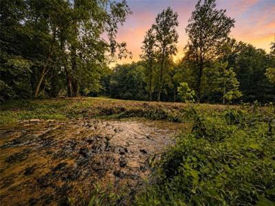 4.06 A Licklog Trail
