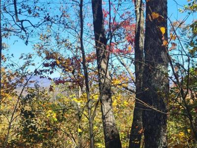14 AC Old Burnt Mountain