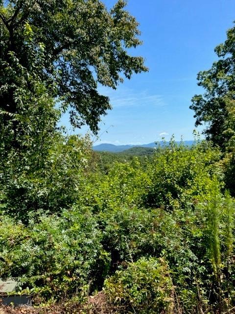 Image 1: Mountain View