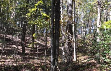 Lot 387 Court Walhalla