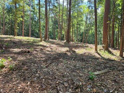 Whitetail Ridge Tract 2