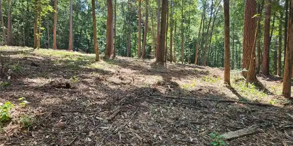 Whitetail Ridge Tract 2